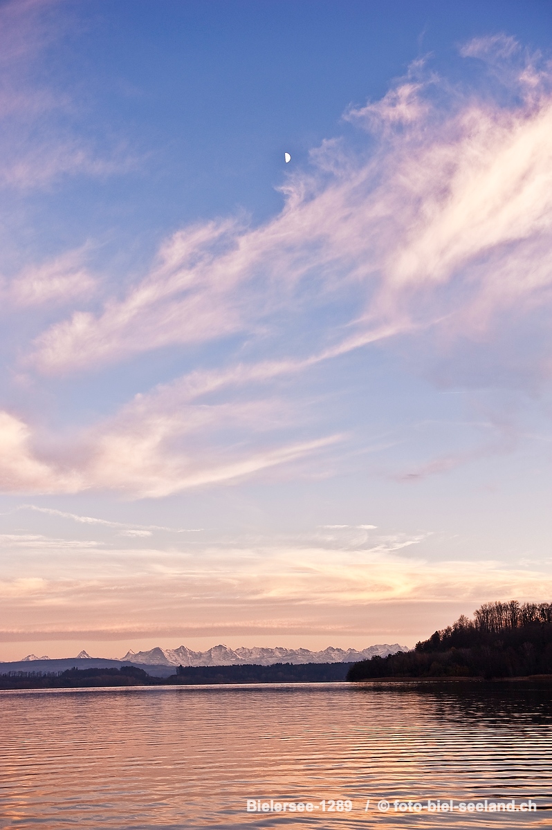 Bildname:  Bielersee-1289  Bielersee mit AlpenpanoramaBildgroesse: 2832  x 4256 px /  24.0 x 36.0 cm (300dpi)Stichwoerter:  Alpenpanorama, Bielersee,...